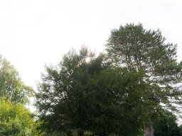 JGD082025 - 17